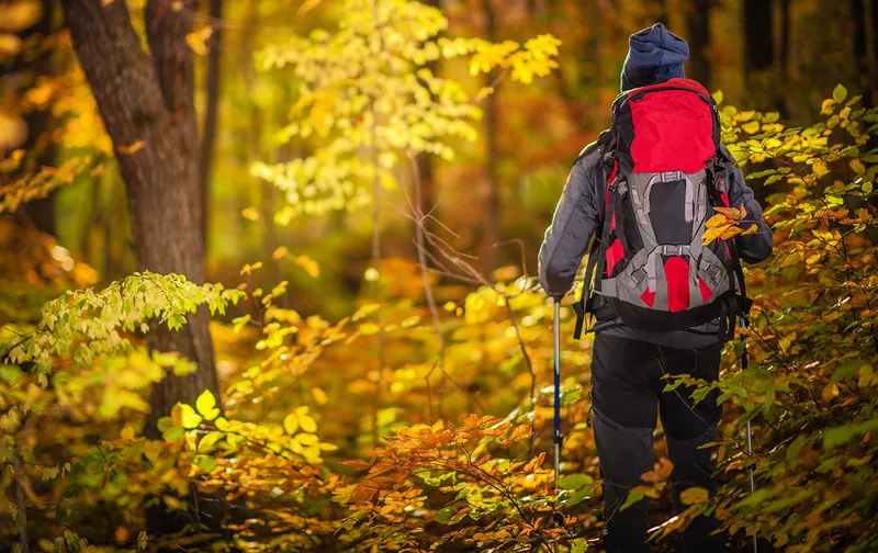 Hiking